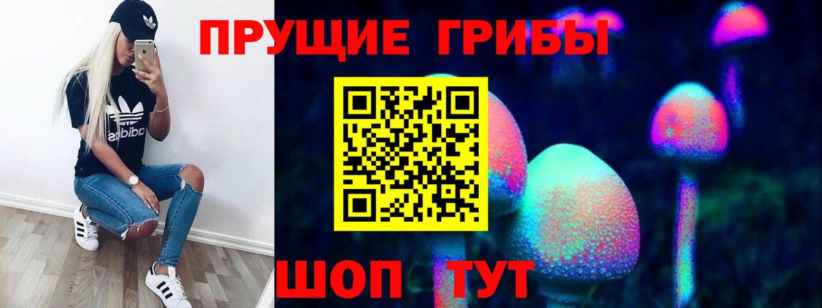 Псилоцибиновые грибы Cubensis  Галлюциногенные грибы GOLDEN TEACHER  Вход с VPN  Кстово 